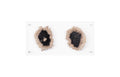 Floating Petrified Double Slice Wall Art