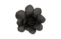 Laui Succulent Wall Art – Smooth Matte Black
