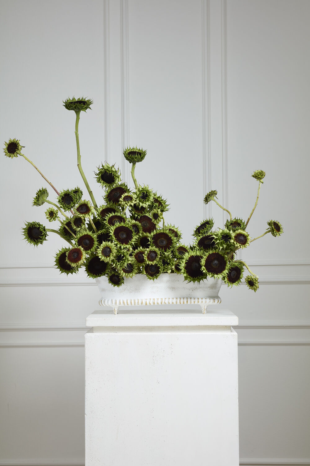 Manor Trough