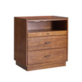 Lorenz Nightstand with USB and LED Light in Walnut