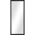 Delacorte 80" Tall Rectangle Wall Mirror, Black