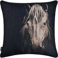 Del Rio 20X20 Indoor Pillow, Black