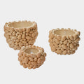 Pine Gold Ceramic Pot
