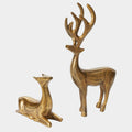 Prancer Reindeer Collection