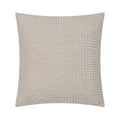 Lizzy 20X20 Indoor Pillow, Beige