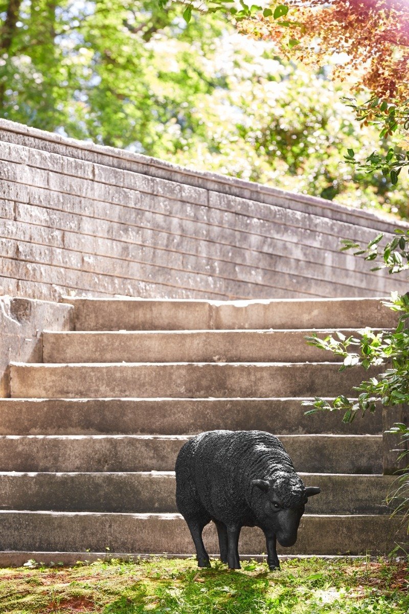 Sheep Sculpture – Life-Sized Black Sheep Resin Décor Accent
