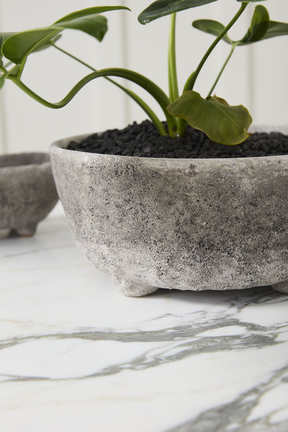 Shoal Bowl