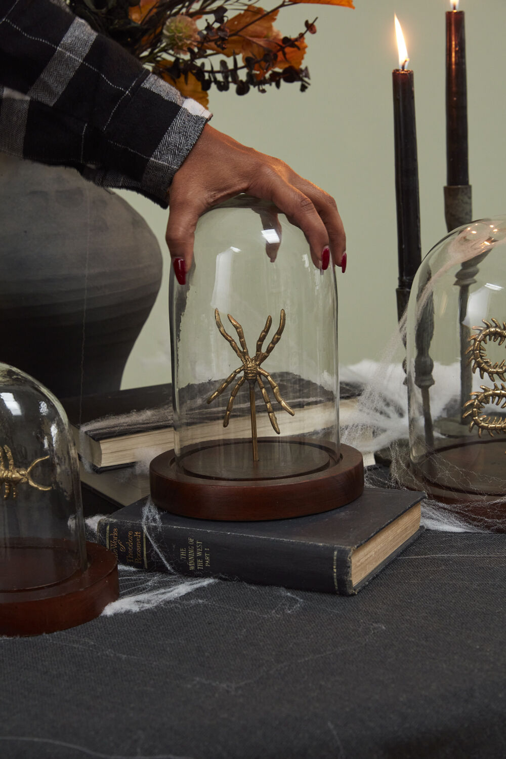Specimen Cloche Set