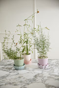 Springvale Pot with Saucer