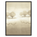 Cemented Trees