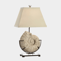 Ammonite Lamp