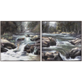 Rapids