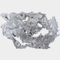 Silver Burled Root Wall Art